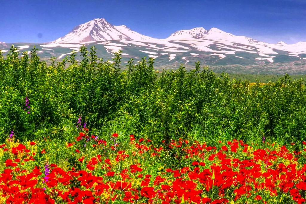 May Holidays in Armenia